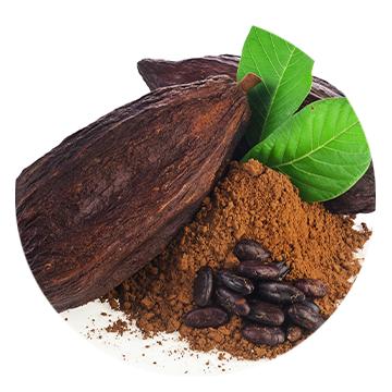 RMS Beauty Back2Brow Powder - Makeup Cosmetic in Compact Design Eyebrow Products Cocoa