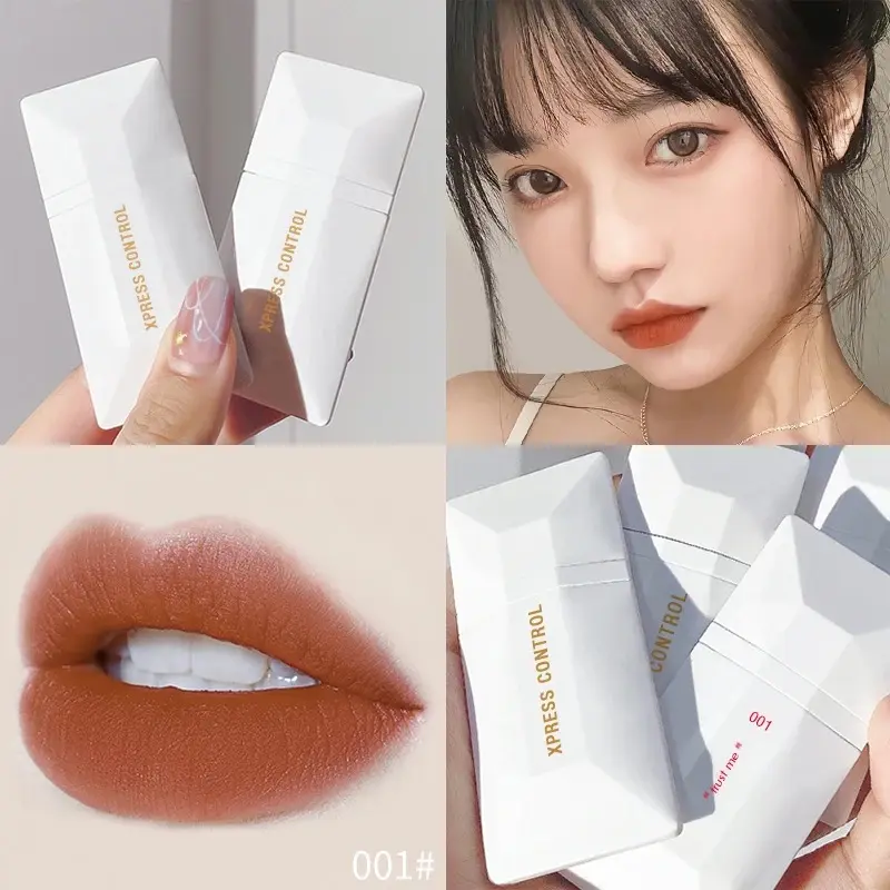 Lip Glaze Lipstick Lip Gloss Red Lipstick Orange Lipstick Brown Lipstick Lip Blush Blush Matte Lipstick Velvet Lipstick Long Lasting Lipstick Natural Unique Lipstick