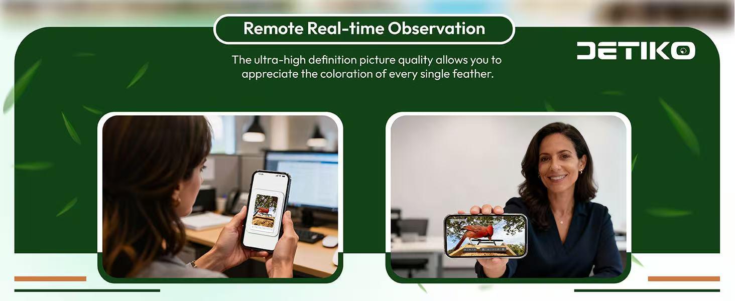 DETIKO Bamboo Bird Feeder with Camera, 2K HD, Auto AI Identify 2800+ Birds, Solar-Powered, Night Vision, Real-Time Alerts, Family/Friend Sharing, Gift for Nature Lovers