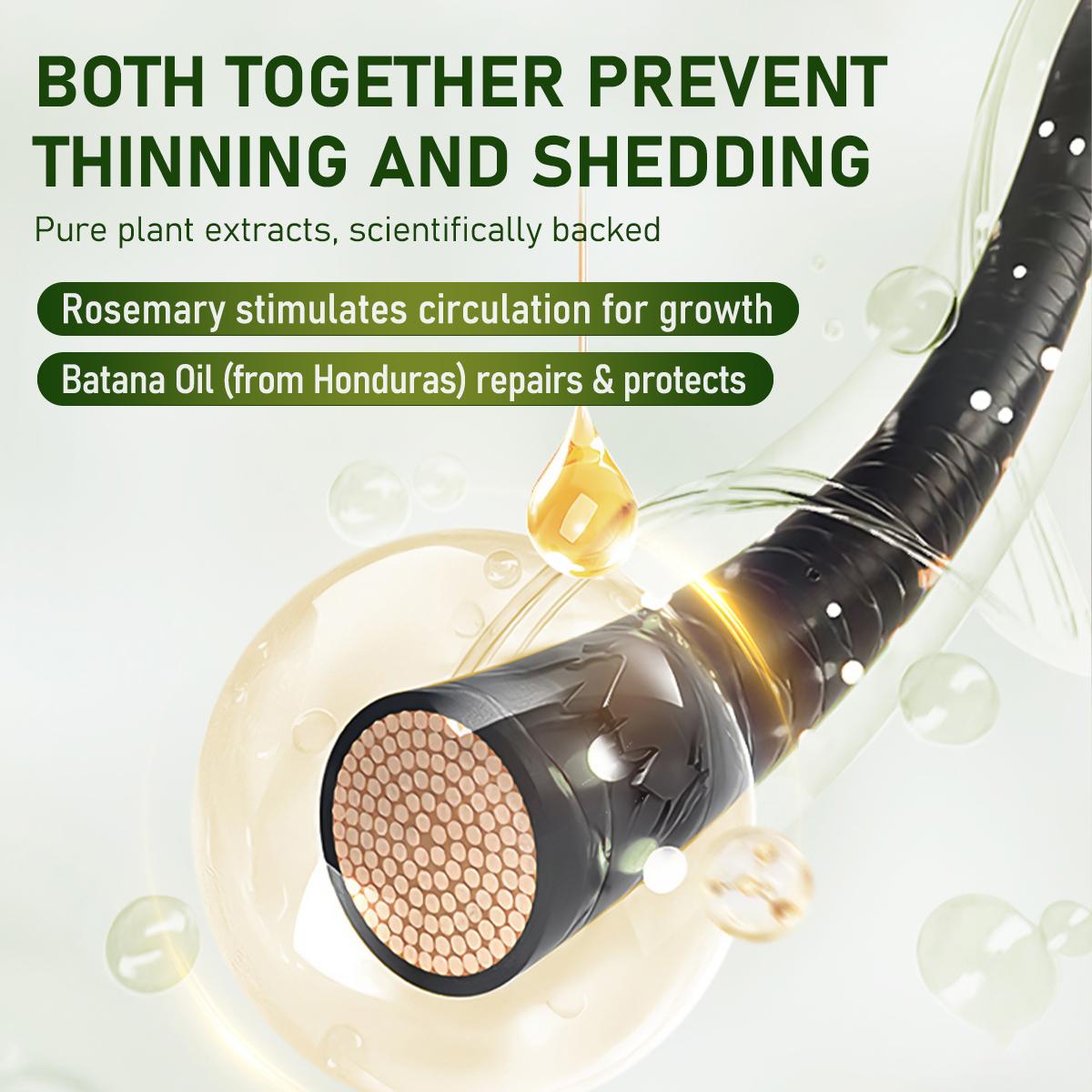 Gypsophila Batana Oil Hair Care Set - Shampoo & Conditioner Duo with Rosemary Extract for All Hair Types Repair Hydrate Smooth Daily Haircare Gentle 300ml Each Moisture Moisturizing