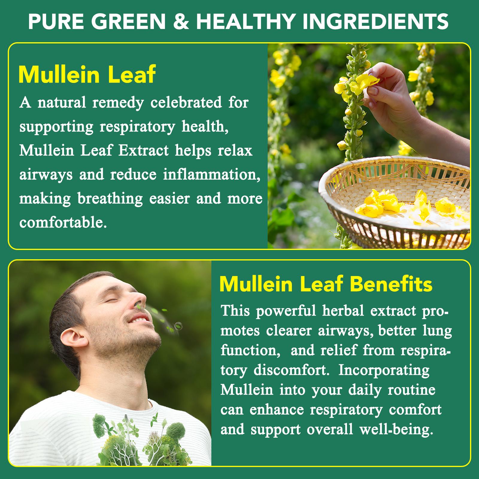 Mullein Gummies for Lungs, Edible Fitness Dietary Gummy, Lung Health, 1000mg Mullein Leaf Extract, Pear Flavor Gummies 60capsules Vitamin Supplement Healthcare mullein lung detox Respiratory System Formula Respiratory Support Vegan Ingredients Mullein Gummies for Lungs, Edible Fitness Dietary Gummy, Lung Health, 1000mg Mullein Leaf Extract, Pear Flavor Gummies 60capsules Vitamin Supplement Healthcare mullein lung detox Respiratory System Formula Respiratory Support Vegan Ingredients
