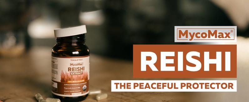 Organic Reishi Mushroom Capsules | 70% Beta Glucans – US Grown & Ultrasonically Extracted – Supports Overall Wellbeing – 60 Capsules Healthcare Dietary