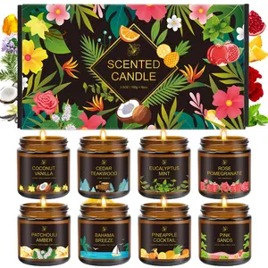 8 Pack Scented Candles Gift Set, 3.5 oz Amber Jar Aromatherapy Candles, Candle Gift Box for Home Decor, Relaxation, Birthday, Holiday & Women Gifts