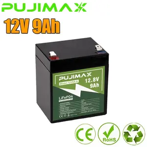 12V 9Ah LiFePO4 Rechargeable Lithium Battery Built-in BMS 2000+ Deep Cycles