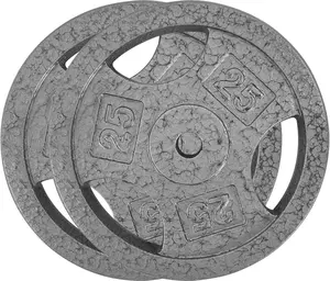 Cast Iron Weight Plates Set 1 in, 25 LBS Bumper Plates for Home Gym, Strength Training & Weightlifting (25 LBS Pairs)