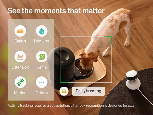 PETLIBRO AI Dog Camera Pet Camera Indoor with Phone App [Multi-Pet Recognition, Daily Activity Analysis & Smart Summaries] Cat Camera 360° View, 1080P Dog Cam Night Vision, 2-Way Audio WiFi Cam Cat