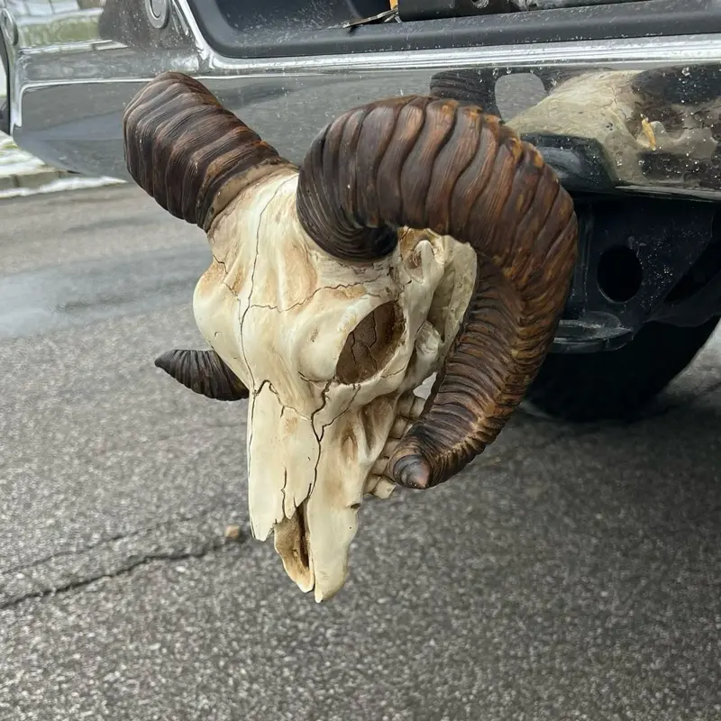 Bighorn hitch cover
