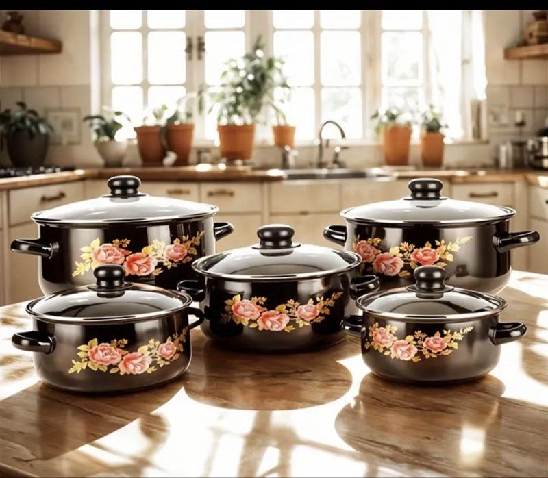 10 pcs cookware set