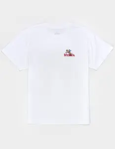 BRIXTON Inwood Mens Tee