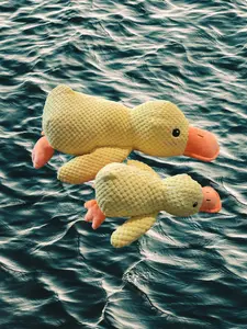 Duck Squeaky Toys