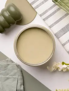 Olive Wood - Dixie Belle Chalk Mineral Paint