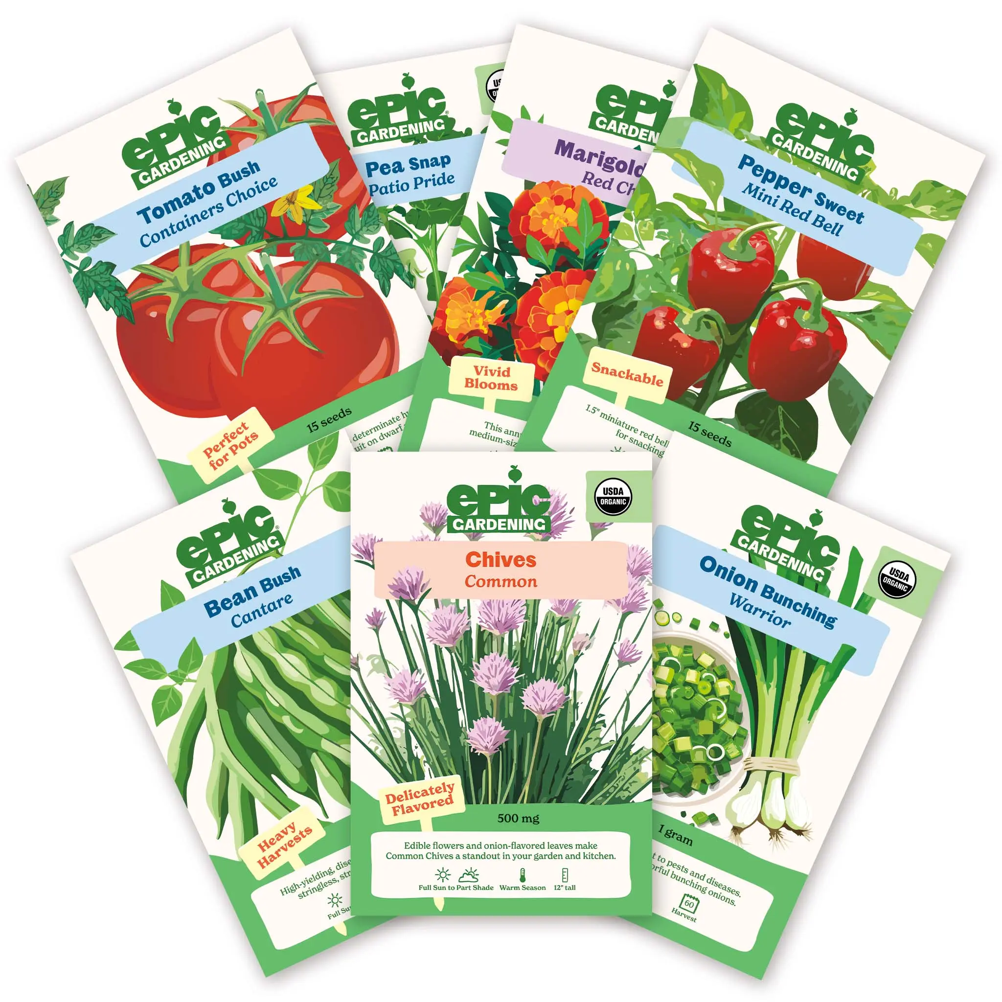 Beginner Patio Garden Bundle - Vegetable Seeds, Plant Herbs, Harvest-Ready Packets, Pollinator Attractant Garden Supplies Kit