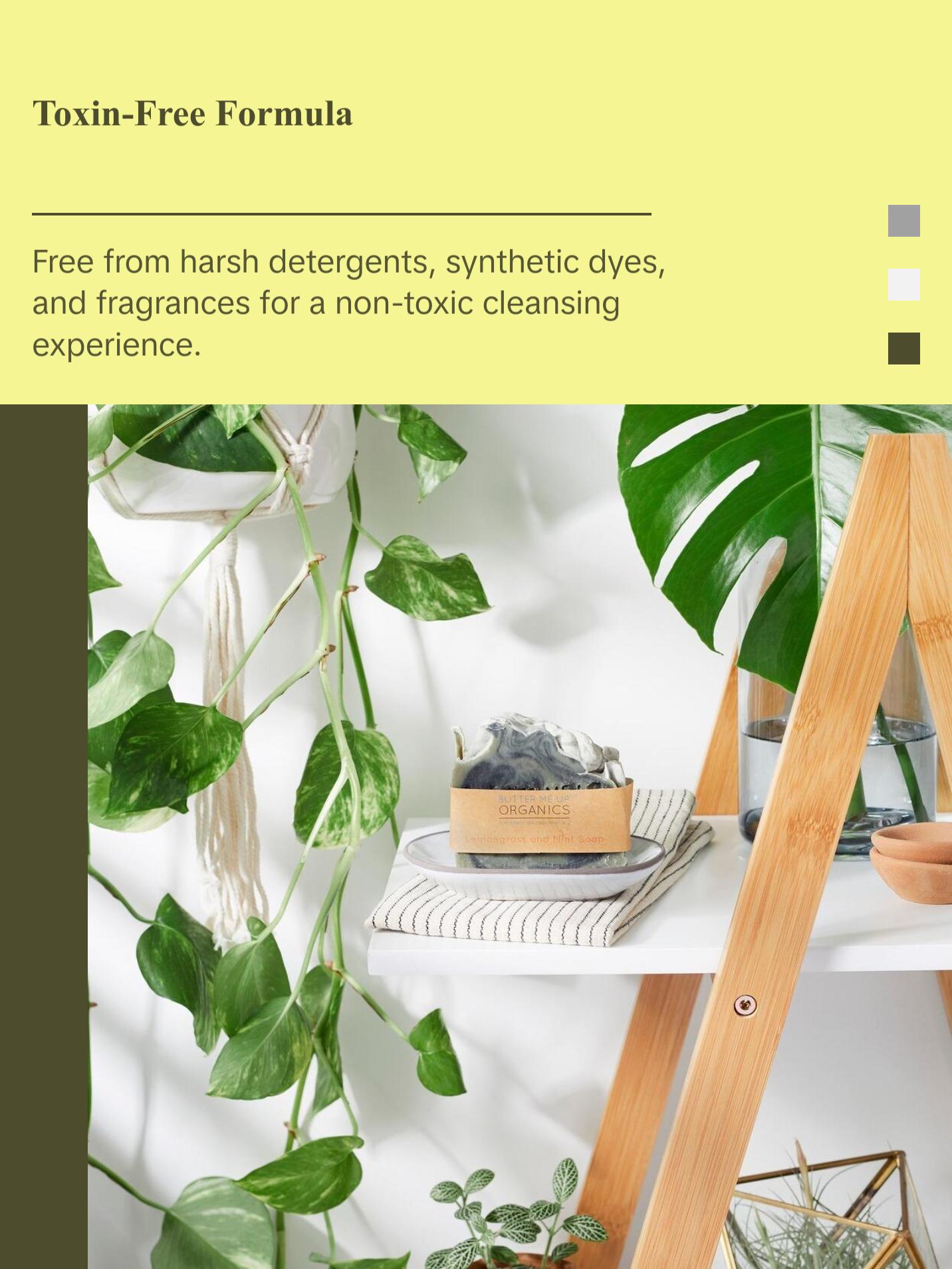 Organic Lemongrass Mint with Activated Charcoal and French Green Clay / Vegan Soap / PALM FREE