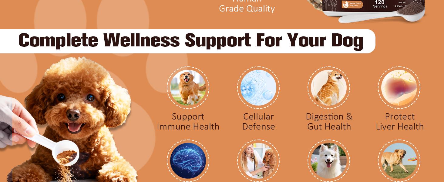 Turkey Tail Mushroom Powder for Dogs&Cats-JUMBO SIZE-120 servings,For Lumps & Bumps, Immunity,Respiratory, Digestion & Cellular Health-UPGRADED FORMULA Turkey Tail Mushroom Powder for Dogs&Cats-JUMBO SIZE-120 servings,For Lumps & Bumps, Immunity,Respiratory, Digestion & Cellular Health-UPGRADED FORMULA