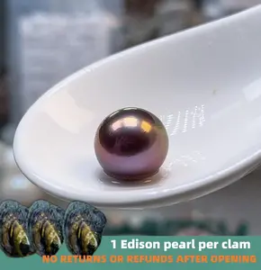 【Tom】King of Blueberry (10-13mm deep color Round Edison Pearl)｜Live Opening 1 Edison pearl per clam Non-Refundable NO RETURNS OR REFUNDS AFTER