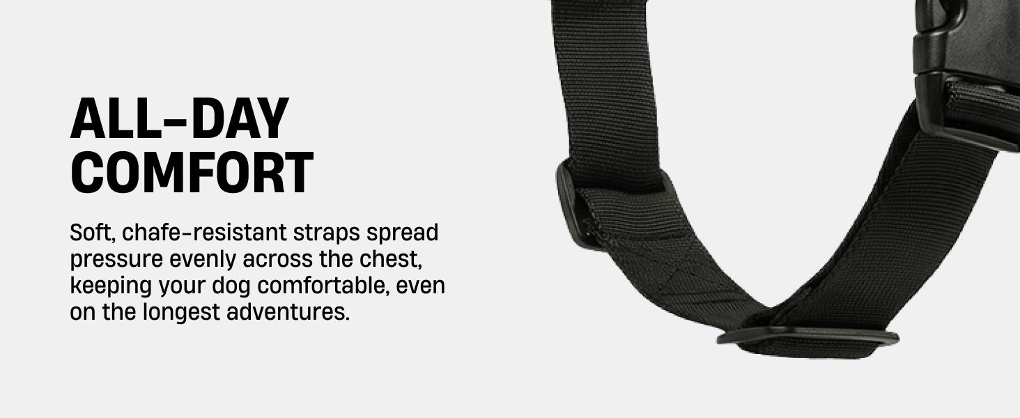 No Pull Dog Harness + D-Ring Bundle - Dog Friendly CO No Pull Dog Harness + D-Ring Bundle - Dog Friendly CO