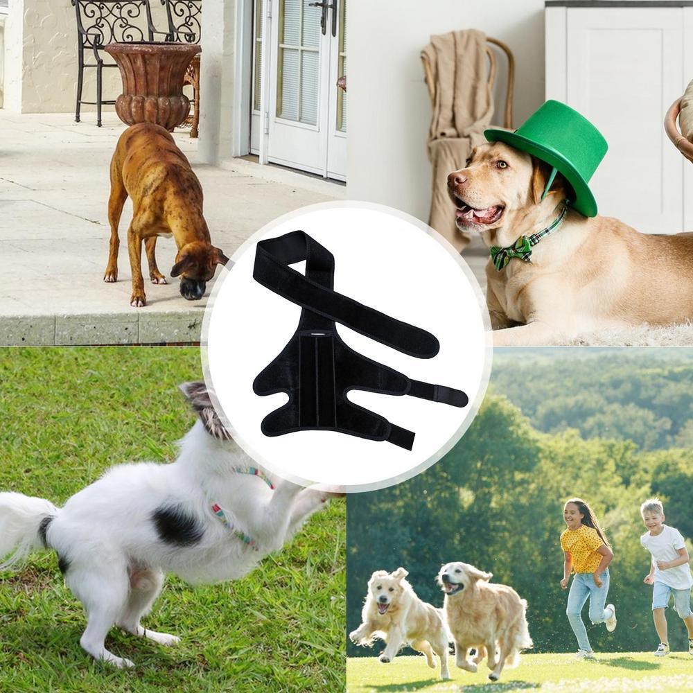 Dog Knee Protector Adjustable Black Dog Back Leg Brace Comfortable Knee Pad For Leg Injury Care Universal Leg Protector For