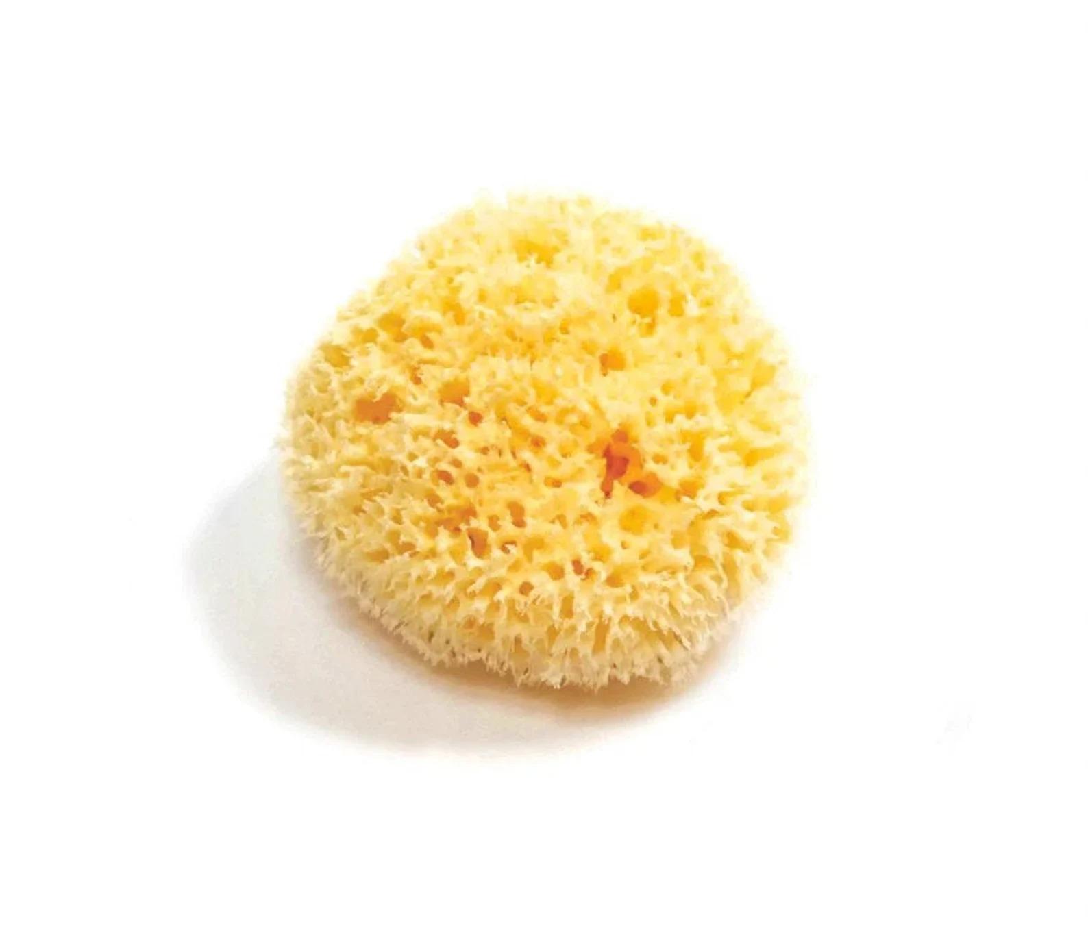 The Dérma Sponge - Nisiá 100% Natural Silk Sea Sponge For Facial Cleansing Skincare The Dérma Sponge - Nisiá 100% Natural Silk Sea Sponge For Facial Cleansing Skincare