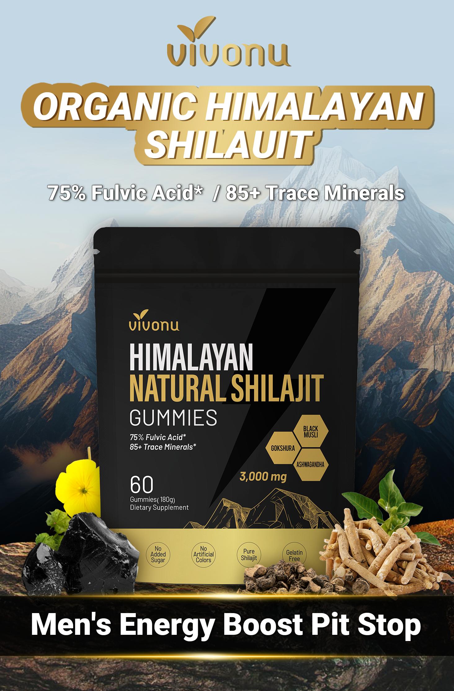 VivoNu  Himalayan Shilajit Gummies | With Ashwagandha, Gokshura & other herbs | No added sugar | 60 Gummies