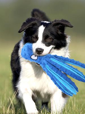 Four angels-Squeaky Dog Toys - Octopus No Stuffing Crinkle Plush Large Dog Toys to Keep Them Busy for Puppy Teething Chewing, Pet Supplies for Small, Medium, and Large Breeds-MRWJ Dog Toy with Squeaker