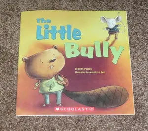 USED-The Little Bully by Beth Bracken (Paperback)