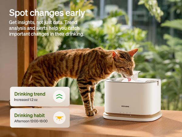 RFlD Smart Feeder & Dockstream 2 Smart Cordless Fountain