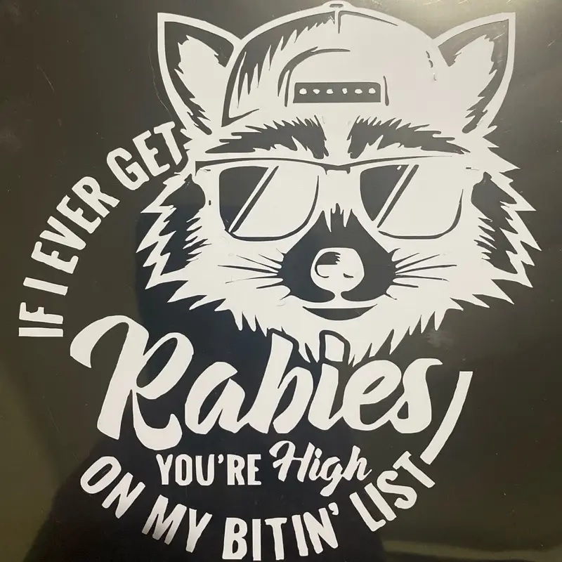 Motorcycle Vinyl Decal - Bold Standout Addition for Motorcycle & Laptop Personalization, Unique Decals Versatile Automotive Accessory, Bold Design, Personalize