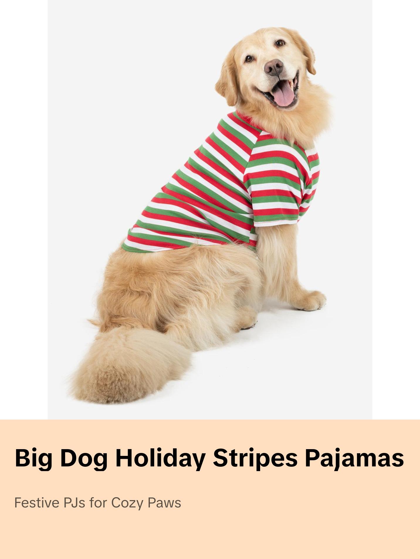 Big Dog Red White & Green Stripes Pajamas