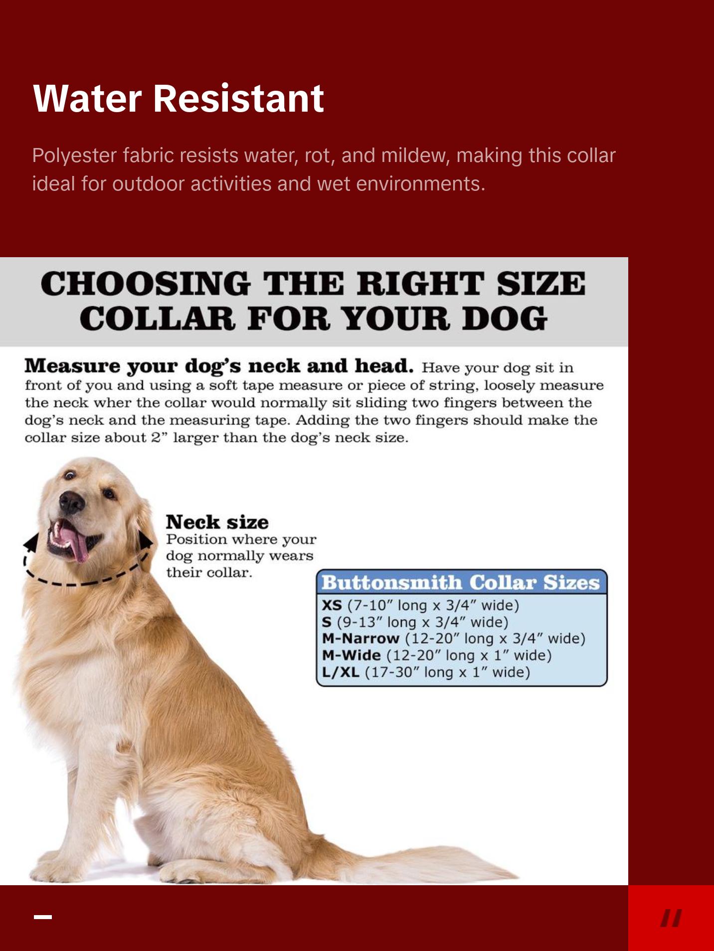 Tiffany Peacock Dog Collar - Made in USA Tiffany Peacock Dog Collar - Made in USA