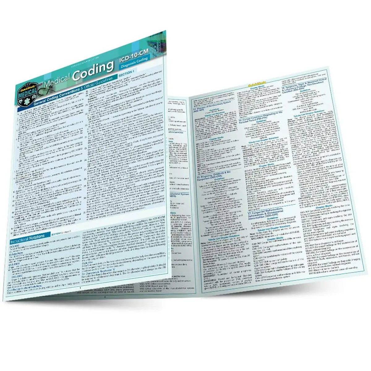Medical Coding ICD-10-CM: a QuickStudy Laminated Reference Guide Second Edition, Revised