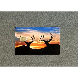 Sunset Bucks #50 Card Protector Sticker, Overlay, Decorative Only