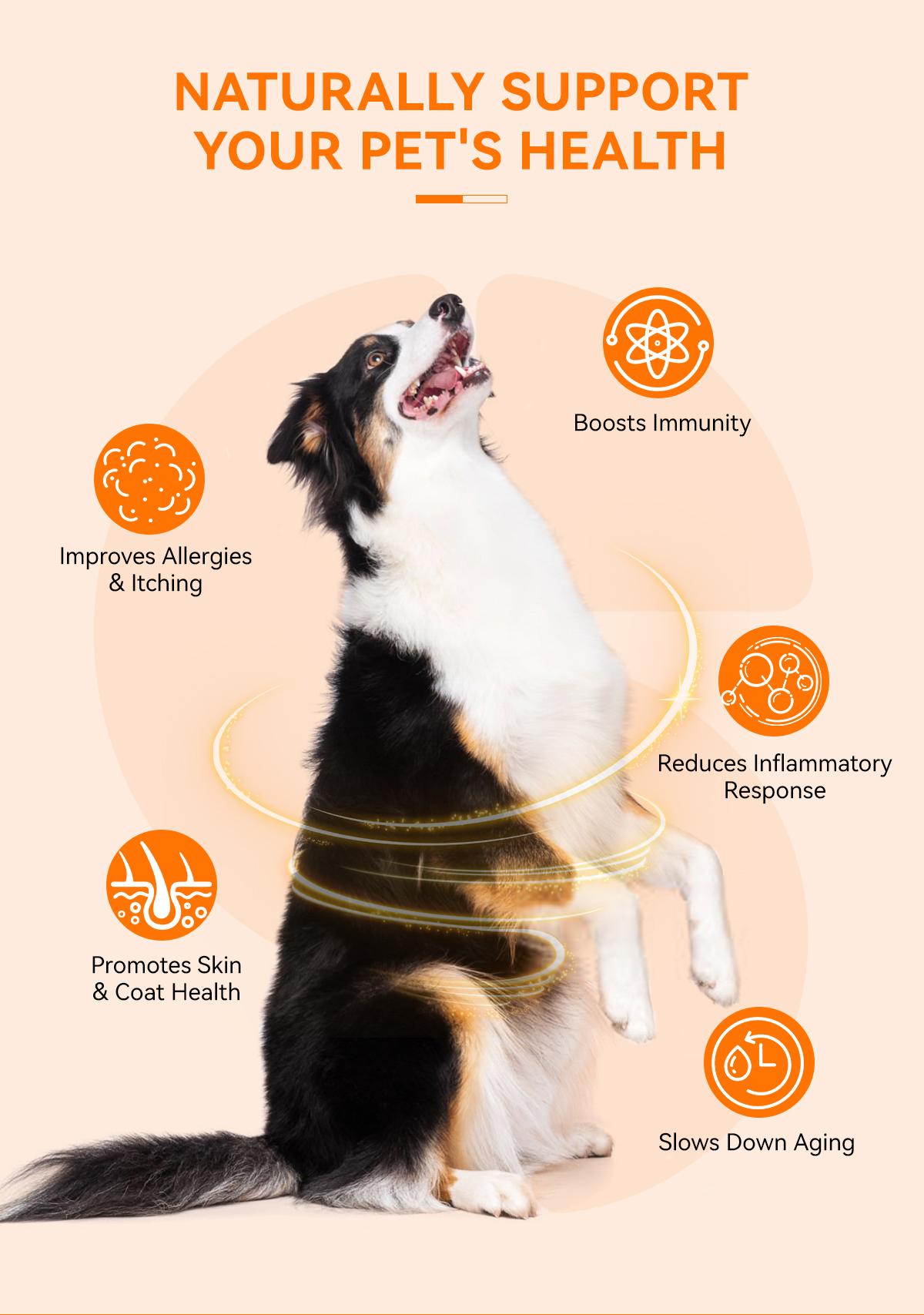 Health Supports Krill & Salmon Oil 8oz – PUAINTA Nature Oil for Dogs, Rich in Omega-3 & EPA+DHA, Supports Heart Health & Circulation, Antarctic Astaxanthin, Maintains Healthy Skin, Supports Hair, Skin, Vision & Wellness