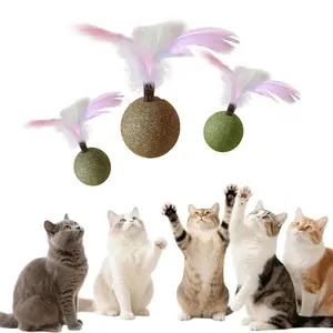 Feather Catnip Ball for Cats – Edible Lickable Chew Toy with Interactive Feather, Hairball Relief & Anxiety Calming for Kitten & Adult Cats