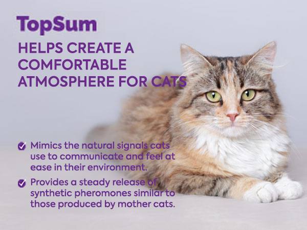 TopSum Cat Pheromone Calming Diffuser — Soothing & Stress-Relief for Cats, Premium 4 in 1 (Purple)