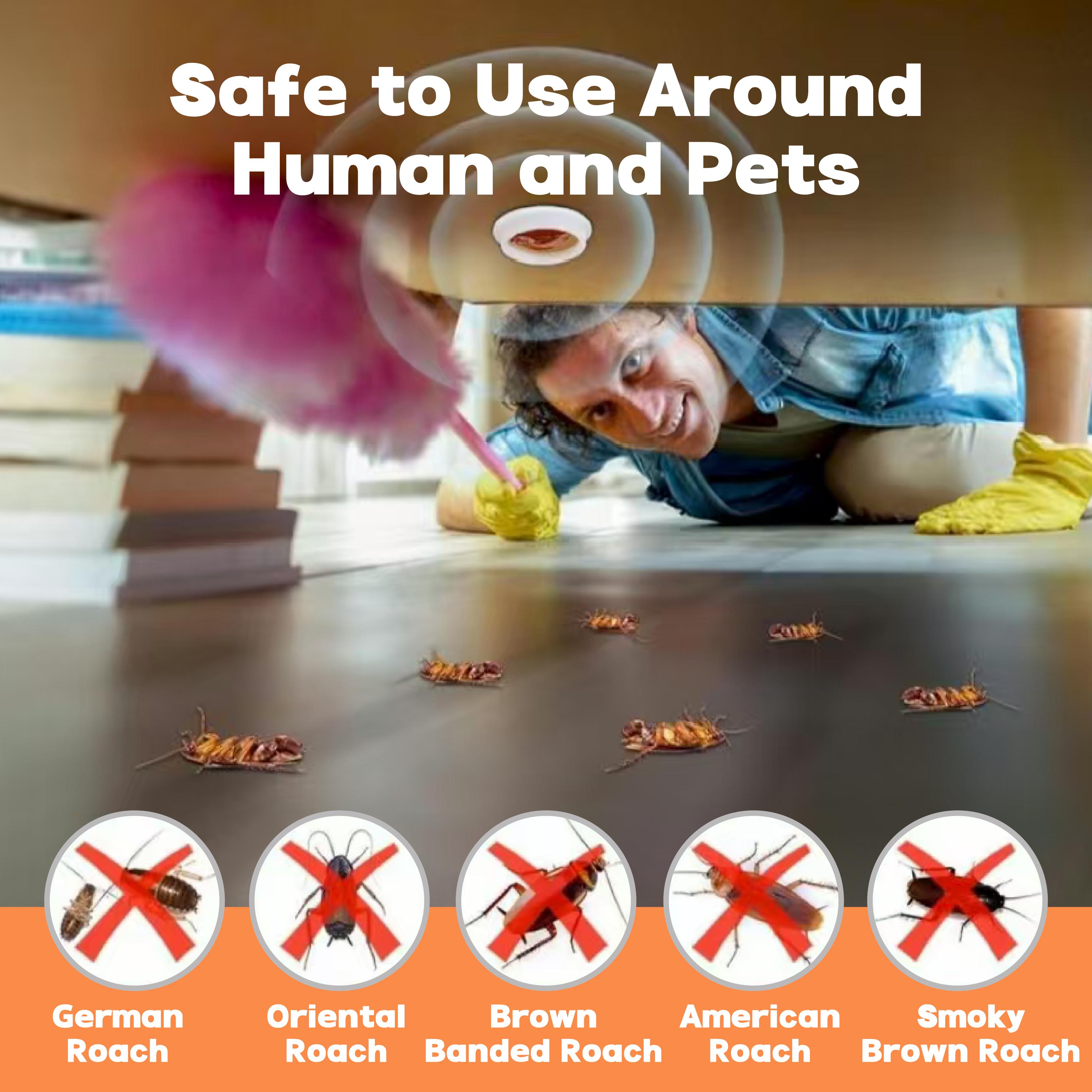 LENDOUYE: Indoor Pest Killing Products, Repellents, Indoor Traps, Insecticides, Bait Stations BD