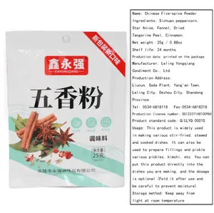Authentic Chinese Five-spice Powder (25g)
