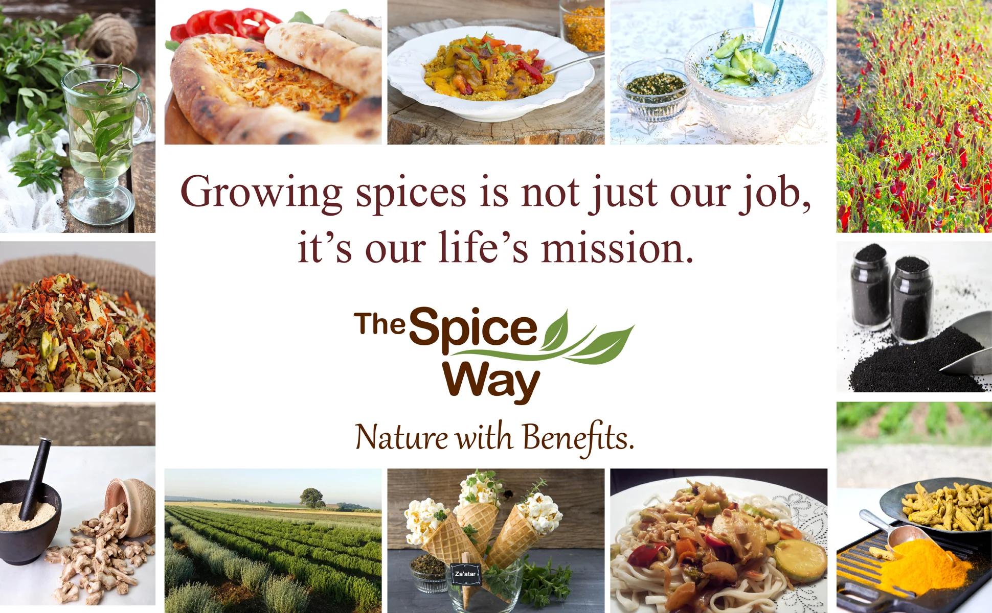 The Spice Way Ground Dried Rosemary Powder - Pure & Natural Flavor from Premium Rosemary Leaves - Salt-Free, Oil-Free, Non-GMO Seasoning
