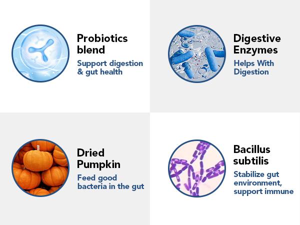 2Pack-Probiotics for Dogs - Dogs Probiotics Chews with Enzymes & Fiber Blend Supports Gut Health, Boost Immune - Natural Probiotic Supplement for Digestive, Diarrhea, Gas, Constipation, Itchy Skin,120Ct