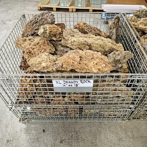 Dragon Ohko Aquascaping Rock X Large 14" to 18" Size Rocks