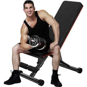 Adjustable Ab Workout Bench for Home Gym, Foldable Core Training Bench with 9 Backrest Positions, Incline Decline Sit Up Bench for Abs & Full Body Exercise, 795LBS Capacity