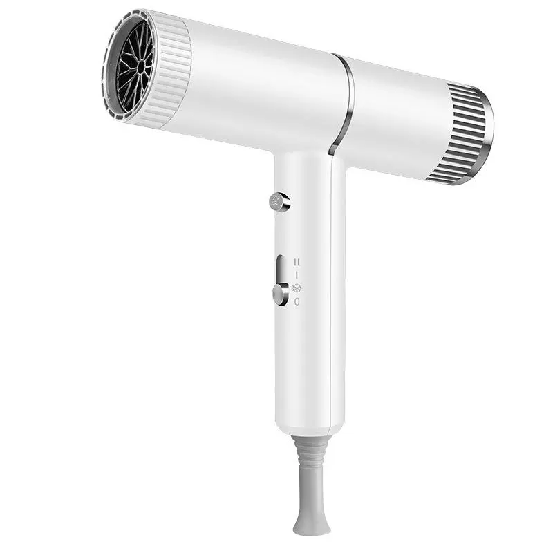 PUDU 1000W Professional Blow Dryer - Travel-Friendly, Ultra-Fast Drying, 3-Speed Lightweight Portable Handheld Hair Dryer with Low Noise DC Motor for Smooth Personal Care, Travel-Friendly Hair Dryers