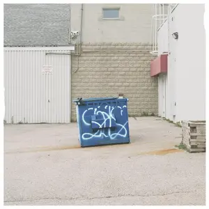 Status - Non-Status / Big Changes [White Vinyl] NEW Vinyl Record 634457239395