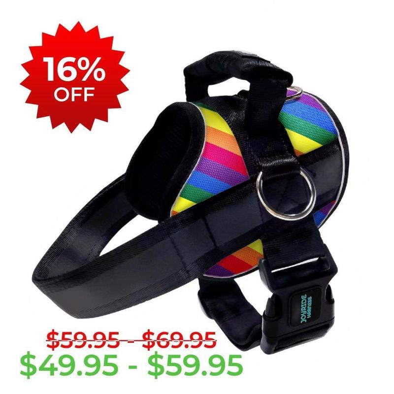 Joyride 2.0 Rainbow B-Grade Outlet - Easy On No Pull Dog Harness for Small Dogs – Jack Russell Terrier – Reflective – Side Rings – Strong Durable Handle – 13 personalized tags included
