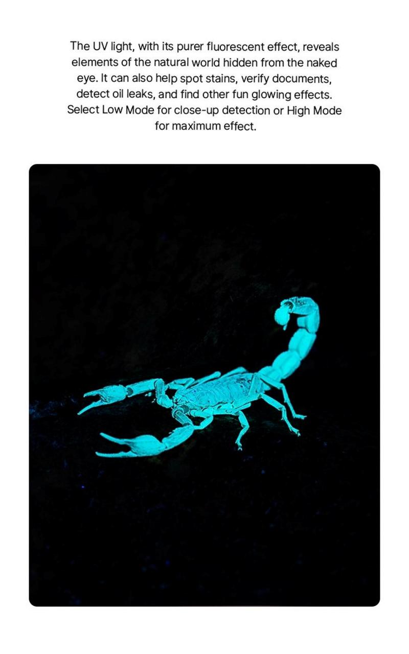 Olight ArkPro Series – Flat Unibody EDC Flashlight with Multi-Light Sources