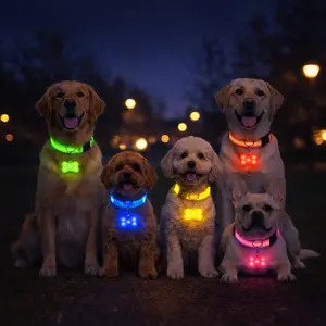 LED Light Up Pet Collar Multi-Color Set | Night Safety Reflective Bone Charms | One Set, Multiple Peace of Mind