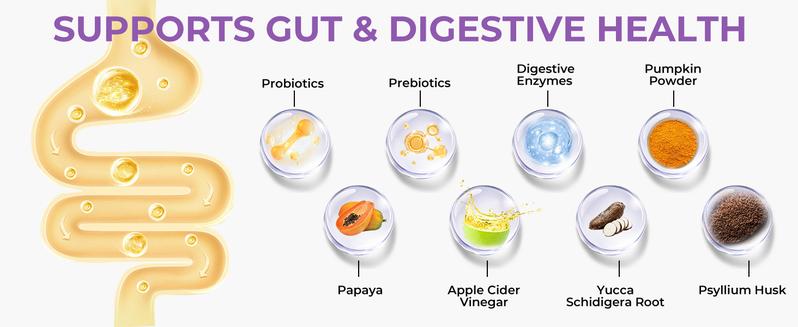 HAPWAG 8-in-1 Multivitamin Soft Chews for Dogs – Probiotics, Gut & Immune Support – Pork Flavor – 90 Treats