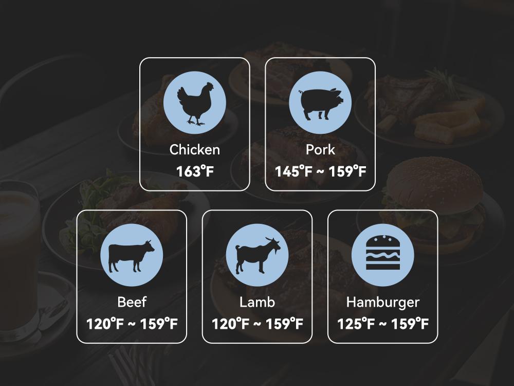 INKBIRD IHT-21K Portable nstant Read Washable Meat Thermometer, IP65 Waterproof, 0.5 Sec Fast Reading, Super Accurate Detection, Handy Food Thermometer for Indoor Outdoor Cooking, BBQ, Baking, Deep Frying, Home Brewing Kitchen