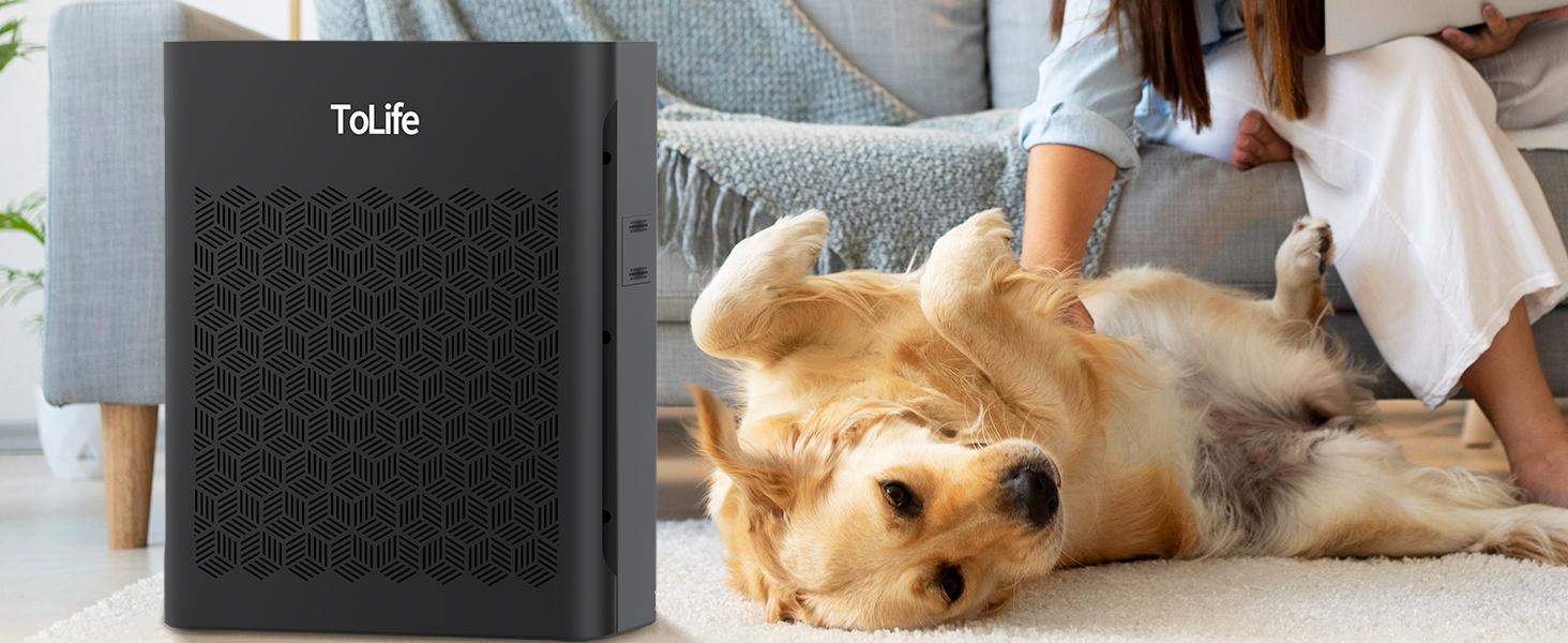 ToLife NEW K2 Air Purifier – Pure HEPA Power for 1095 Ft² Rooms | Smart Auto Mode, PM2.5 Display & Timer | Removes Smoke, Pet Hair & Dust Fast