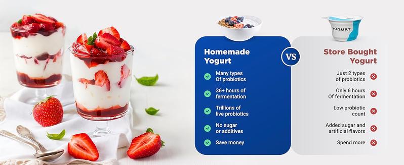 Ultimate Probiotic Yogurt Maker with Adjustable Temperature & Time Control - Create Trillions of Live Probiotics for Better Gut Health - Non-Dairy Friendly, BPA-Free Glass Containers, Lifetime Warranty