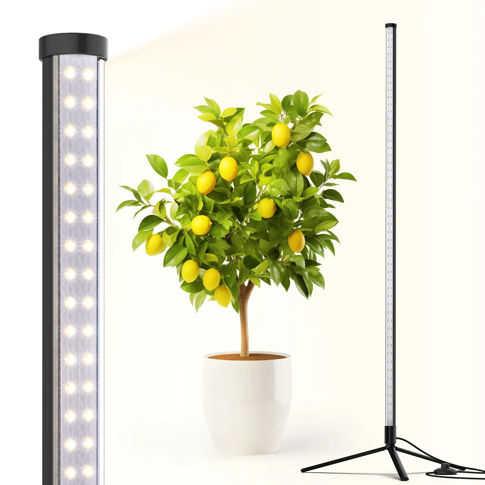 Barrina T10 Standing Grow Light 4FT, 42W, 5000K, Full Spectrum, Vertical LED Plant Light, Wide Coverage, with On/Off Switch and Tripod Floor Stand,sohochic
